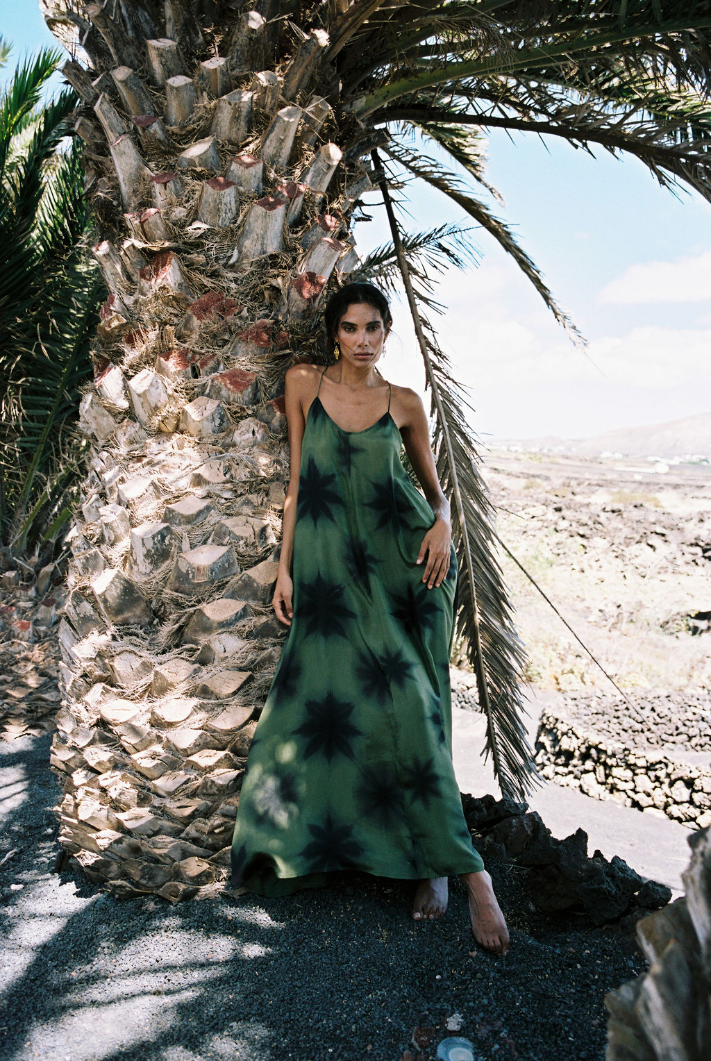 COSMOS MAXI DRESS